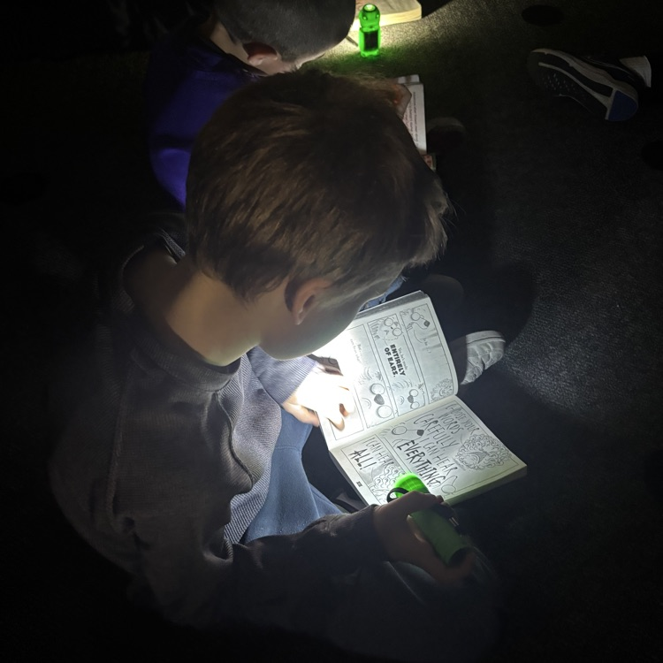 Solon CSD tweet media