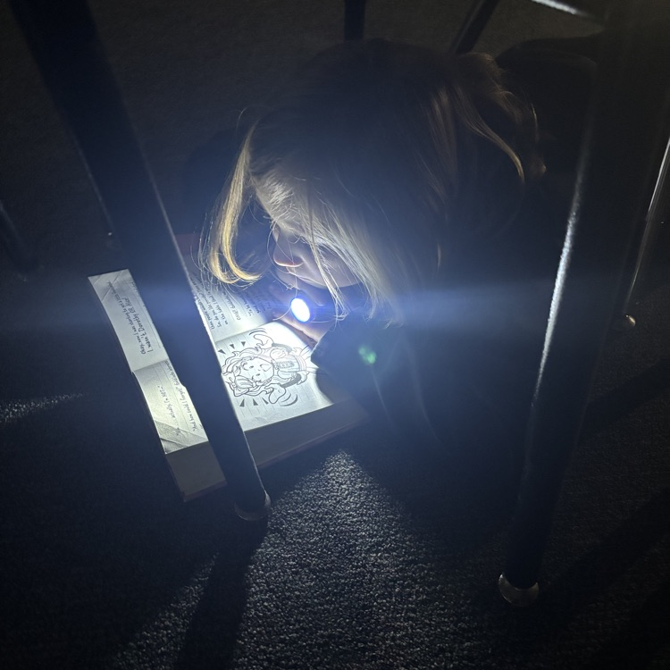 Solon CSD tweet media