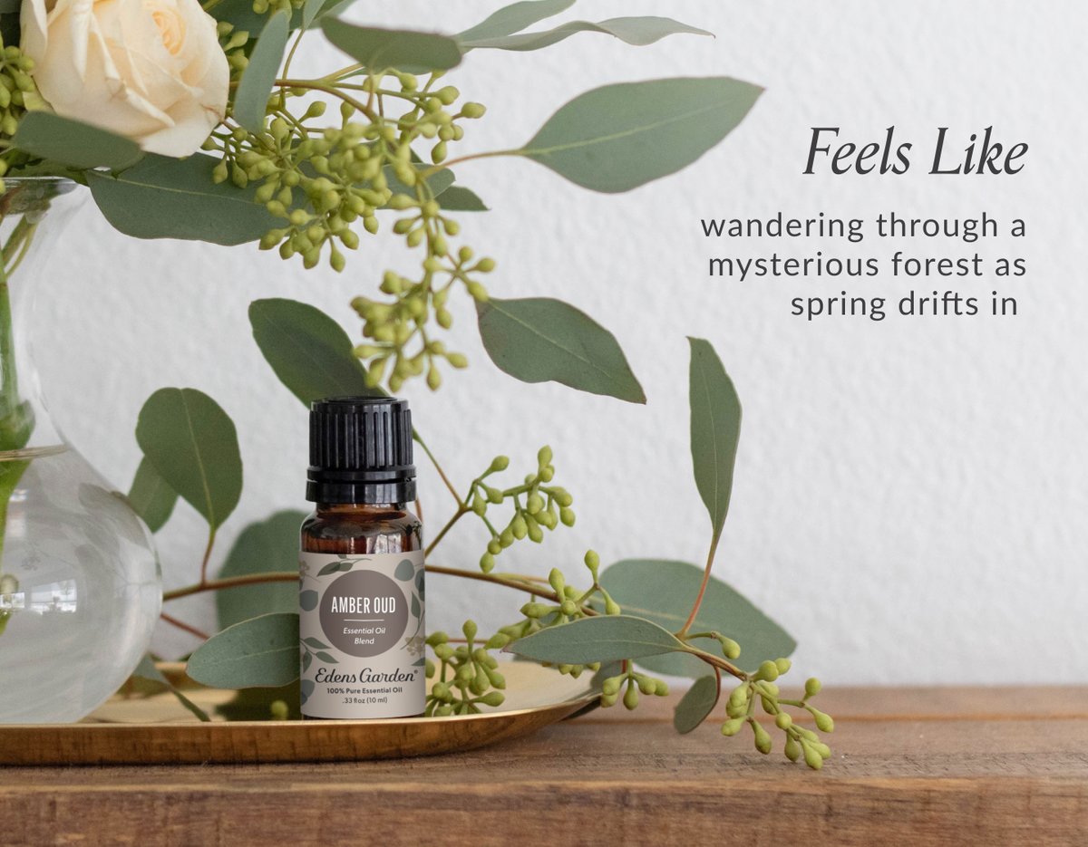 EdensGardenOils's tweet image. Star Anise. Cinnamon. Myrrh.

Amber Oud is a moody, woody, lightly leathery spring #essentialoil blend with just enough brightness to signal the season shift. The perfect winter-to-spring transition scent for depth lovers.

🍃 Shop Amber Oud ➙ tinyurl.com/425usxrk