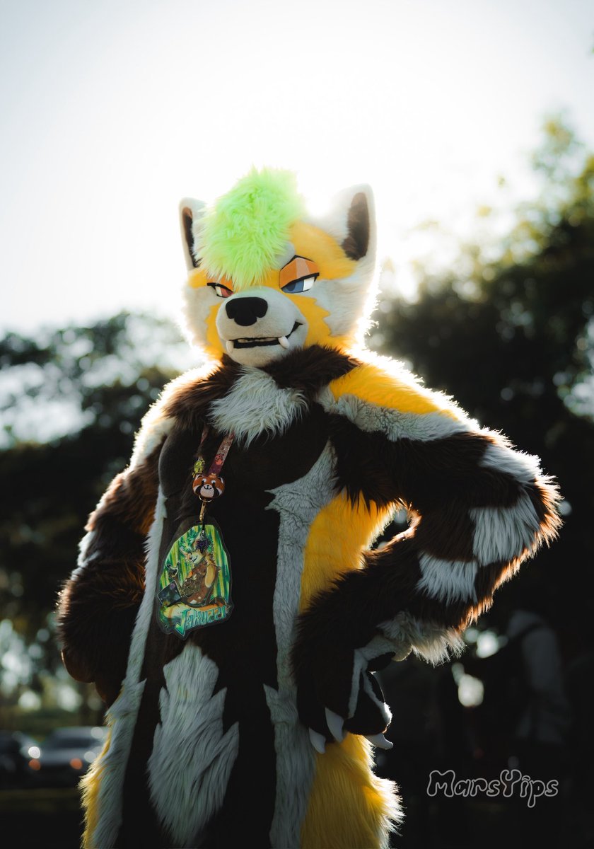 Jakuzzi 🔜 LVFC tweet media