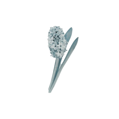  ❀꫶̯͙ࣺ˖ ℋ𝒴𝙰𝙲𝙸𝙽𝚃𝙷 tweet media