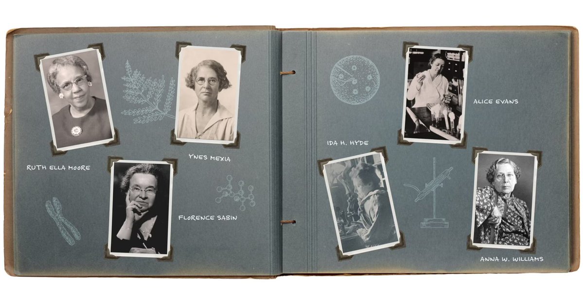 Angie Jansen, TFS tweet media