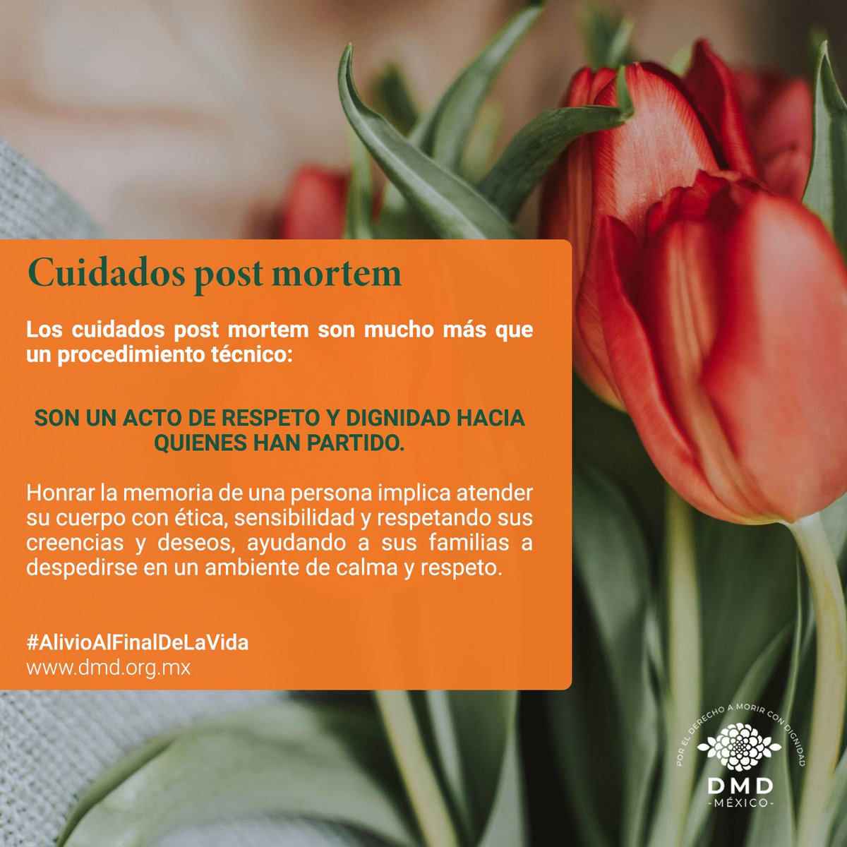 Por el Derecho a Morir con Dignidad A.C. tweet media