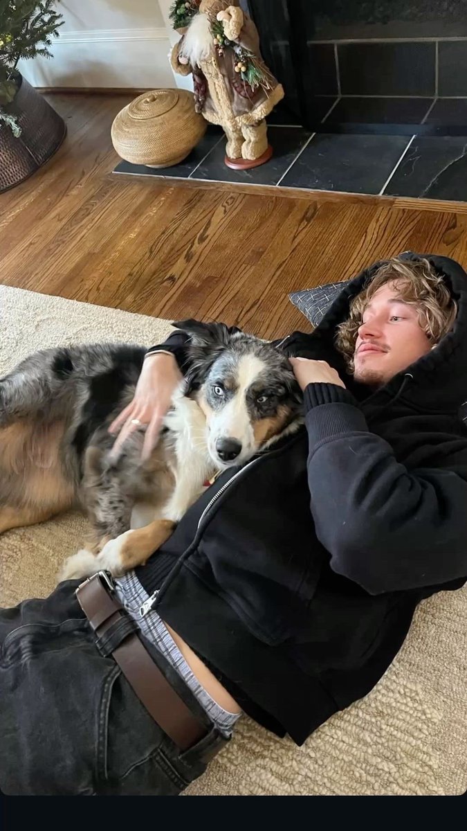 flowersofdevil's tweet photo. ⠀⠀⠀⠀⠀

                         Who lets the dogs out! 

                                 𝐀𝐫𝐭𝐡𝐮𝐬' 𝐒𝐭𝐨𝐫𝐲.

                  ⠀       𑁍᪥𑁍᪥𑁍᪥𑁍᪥𑁍᪥𑁍 https://t.co/tmxey8qIF0