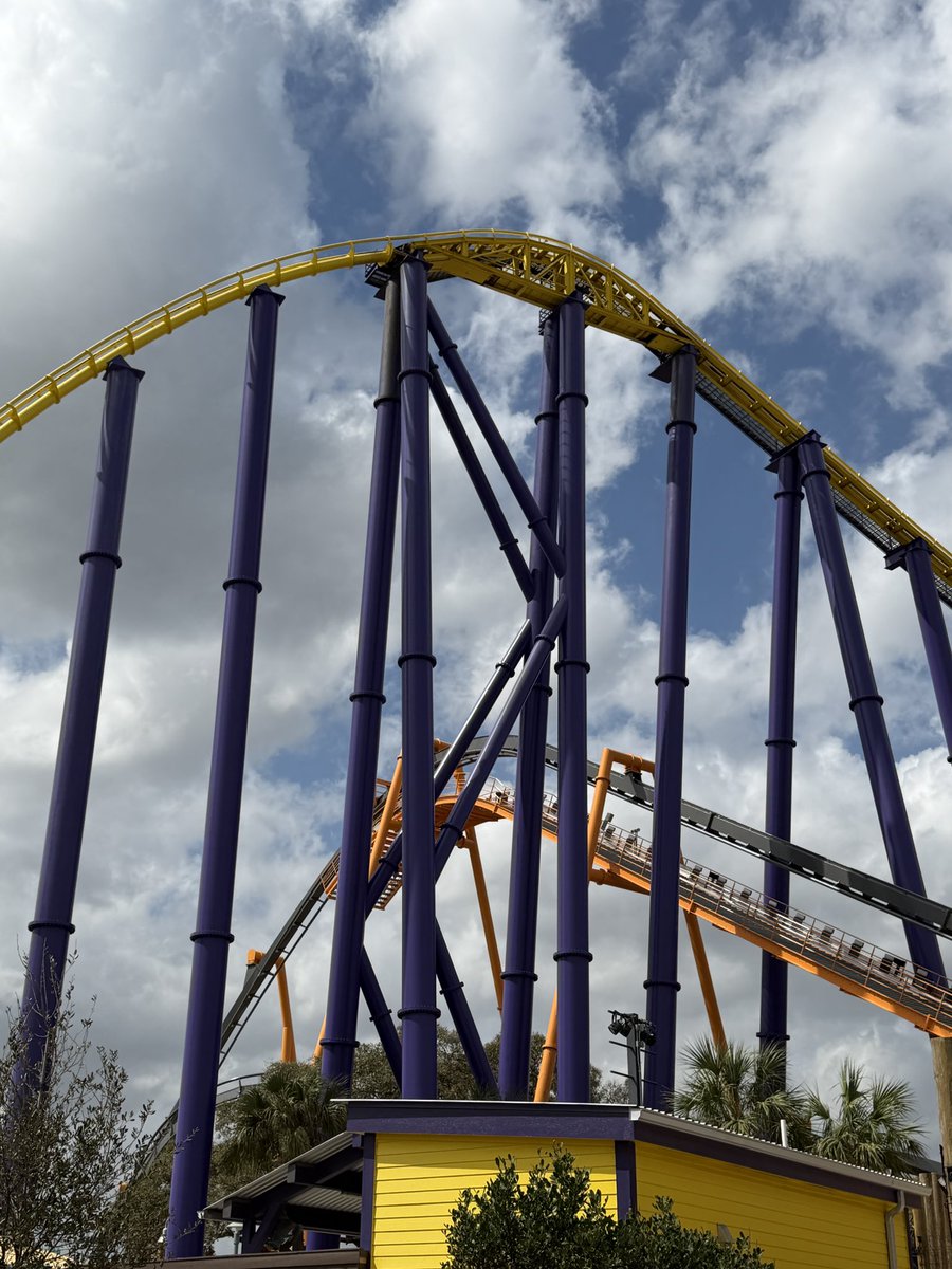 Taylor Bybee tweet media