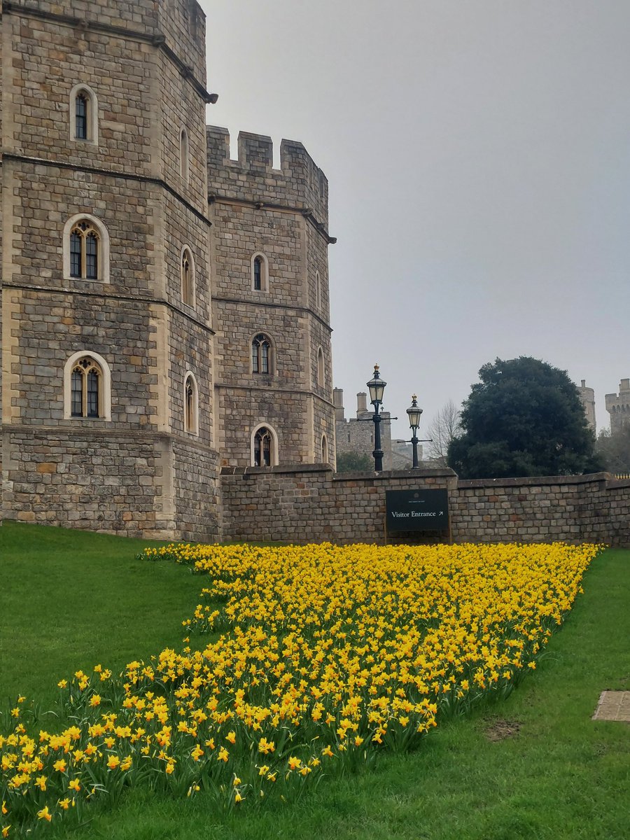 Carol Sheppard tweet media