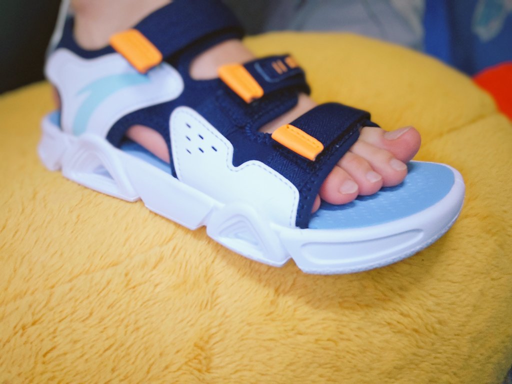 伯恩山的小凡 tweet media