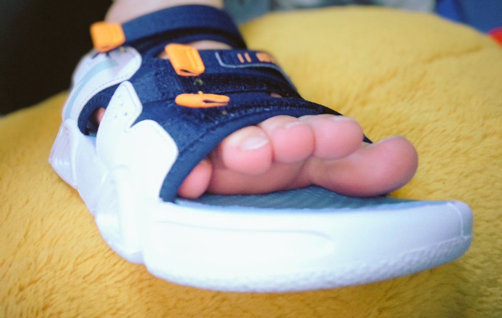 伯恩山的小凡 tweet media