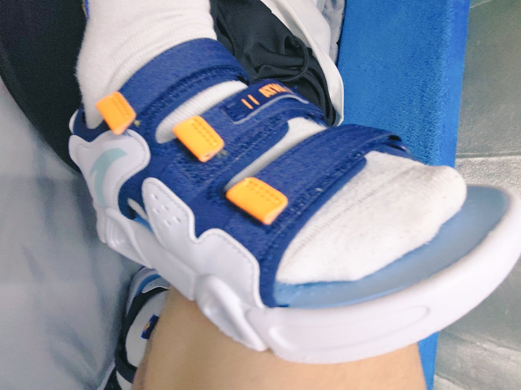 伯恩山的小凡 tweet media