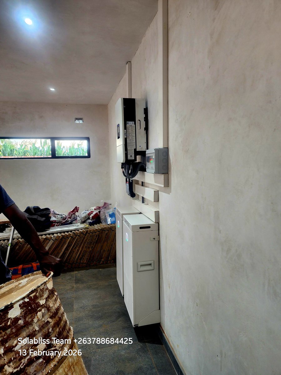 Tinsley Ks tweet media