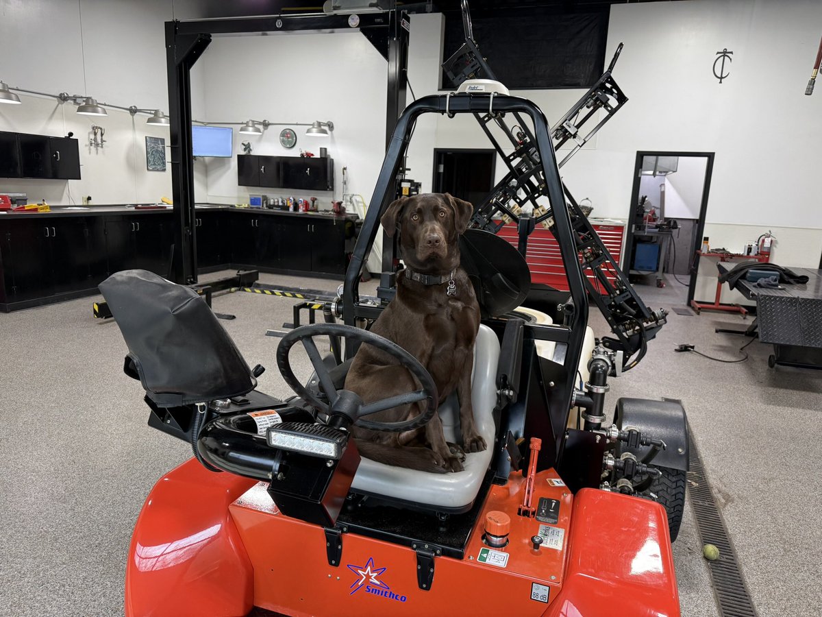 Chad Braun tweet media