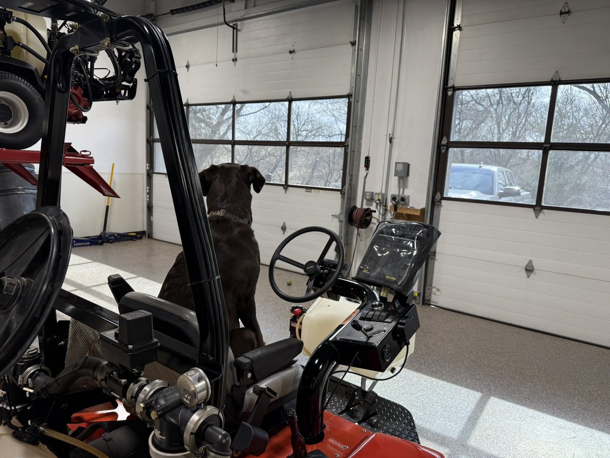 Chad Braun tweet media