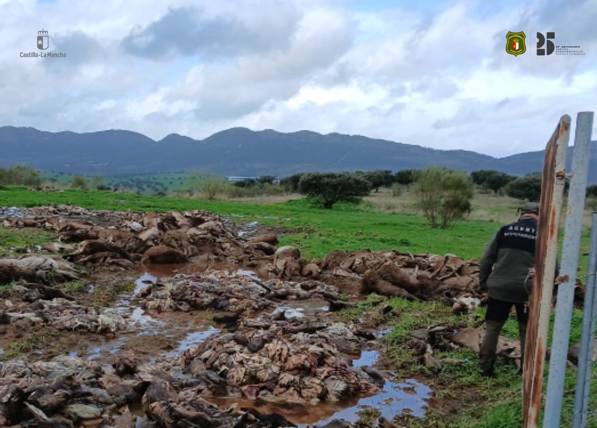 Agentes Medioambientales CLM tweet media