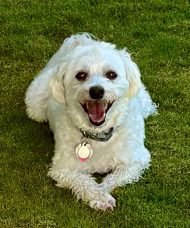 Jay Bradner, M.D. tweet media