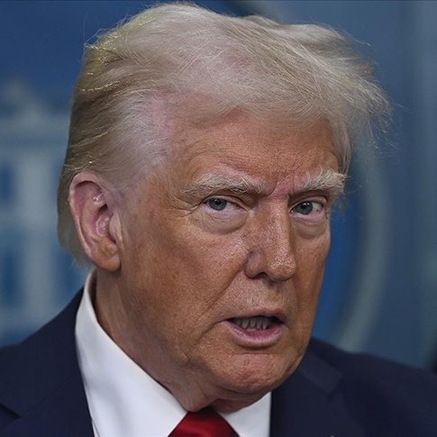 Whale Insider tweet media