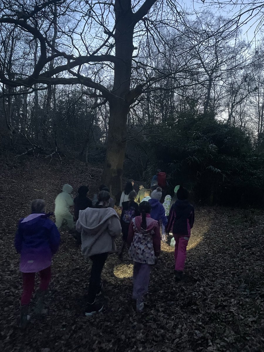 HighLeghPrimary tweet media