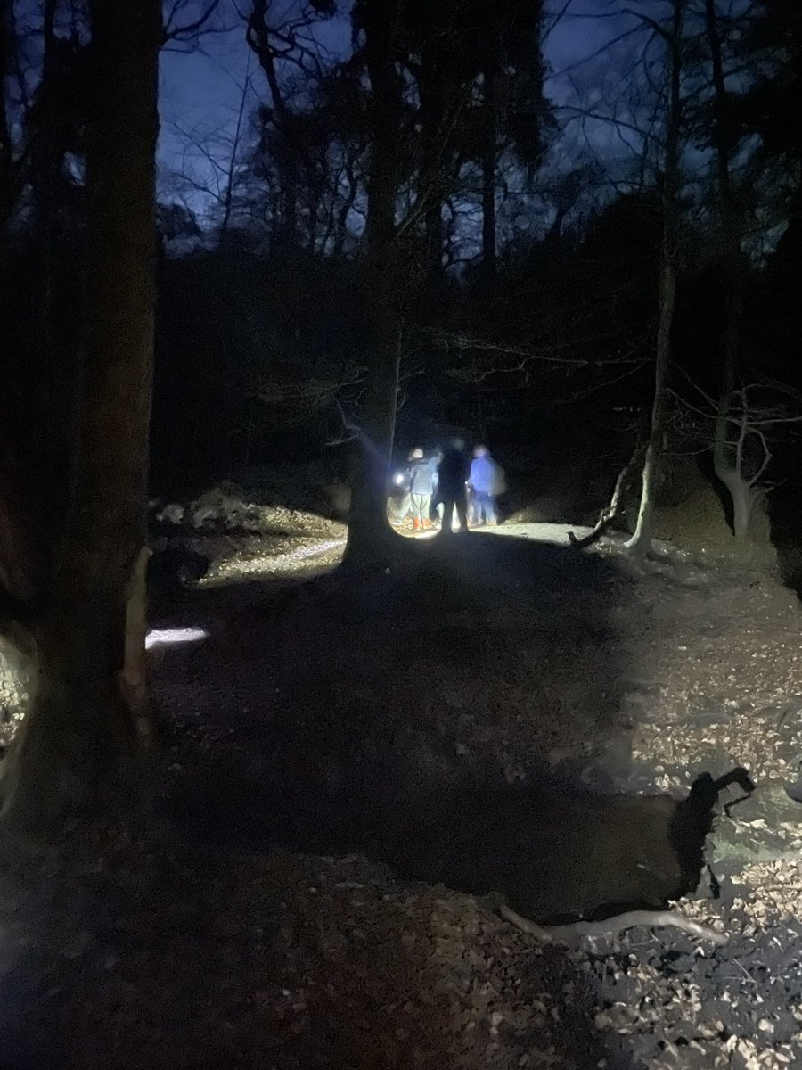 HighLeghPrimary tweet media