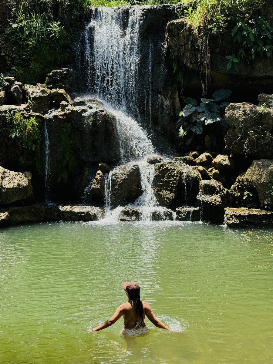 SolerLp2's tweet photo. Paz🍃 https://t.co/xrPe6ref4A