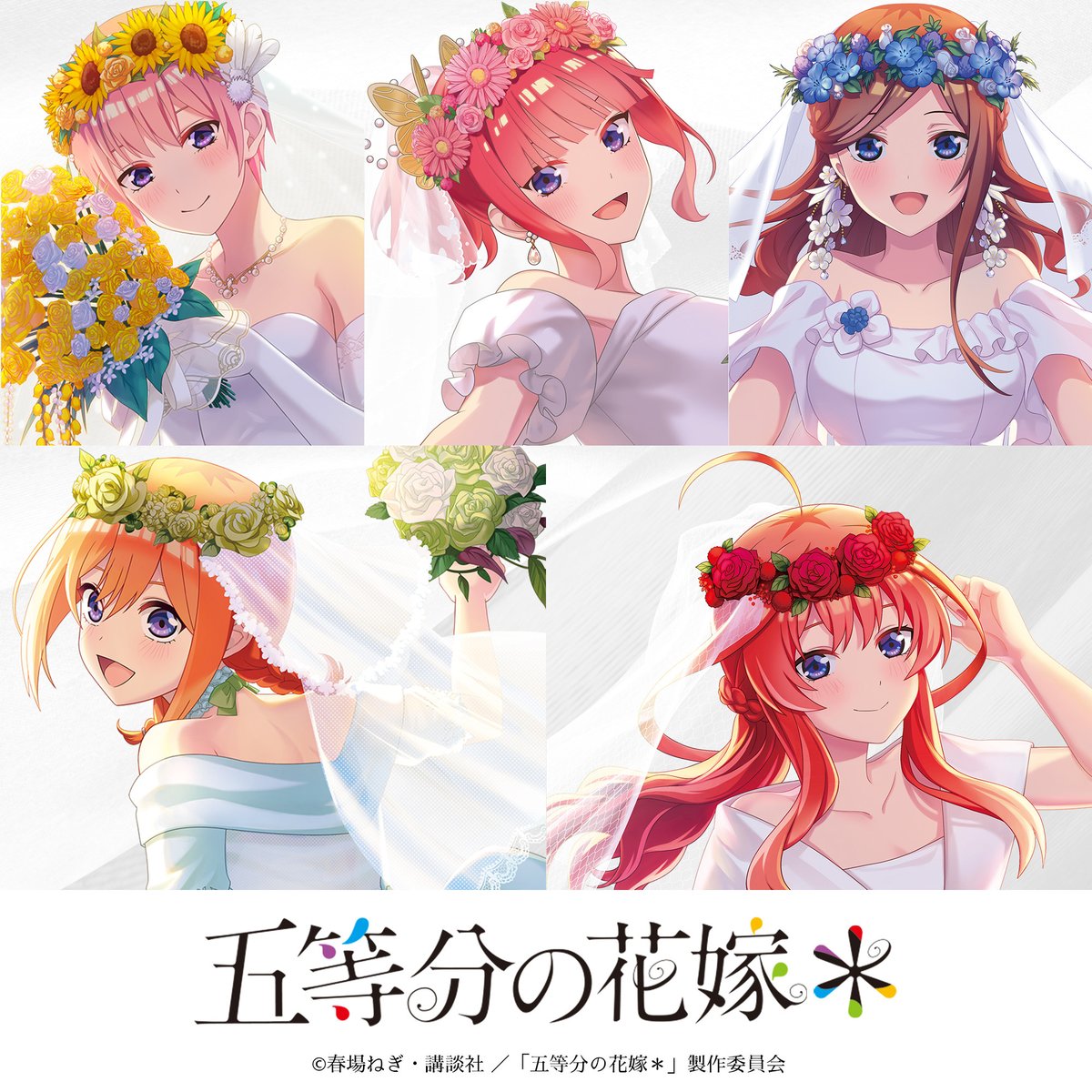 SUKI+PLUS(スキプラ) tweet media