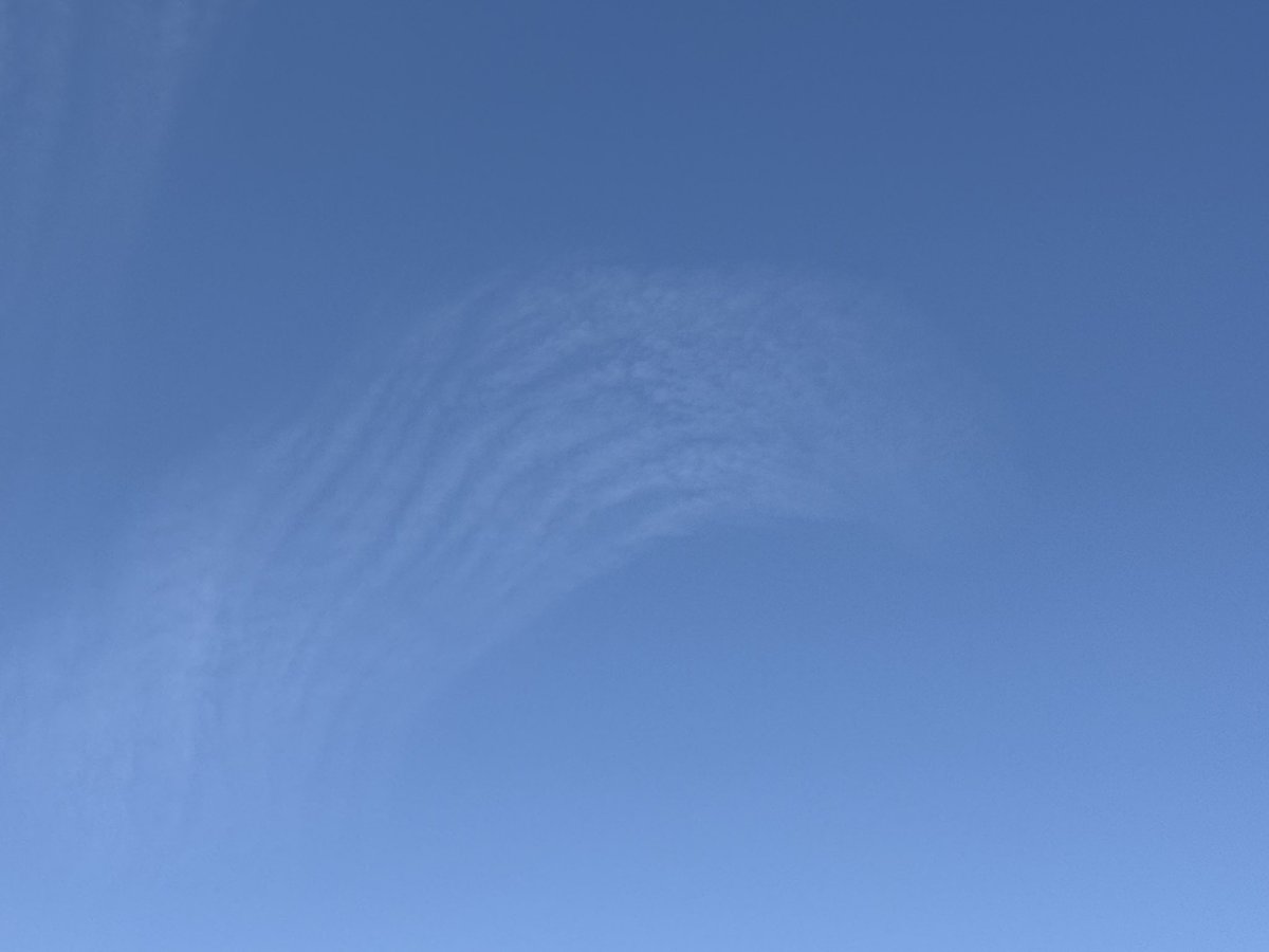 おはようございます
風が強いです
指紋🫆みたいな雲？！
#イマソラ