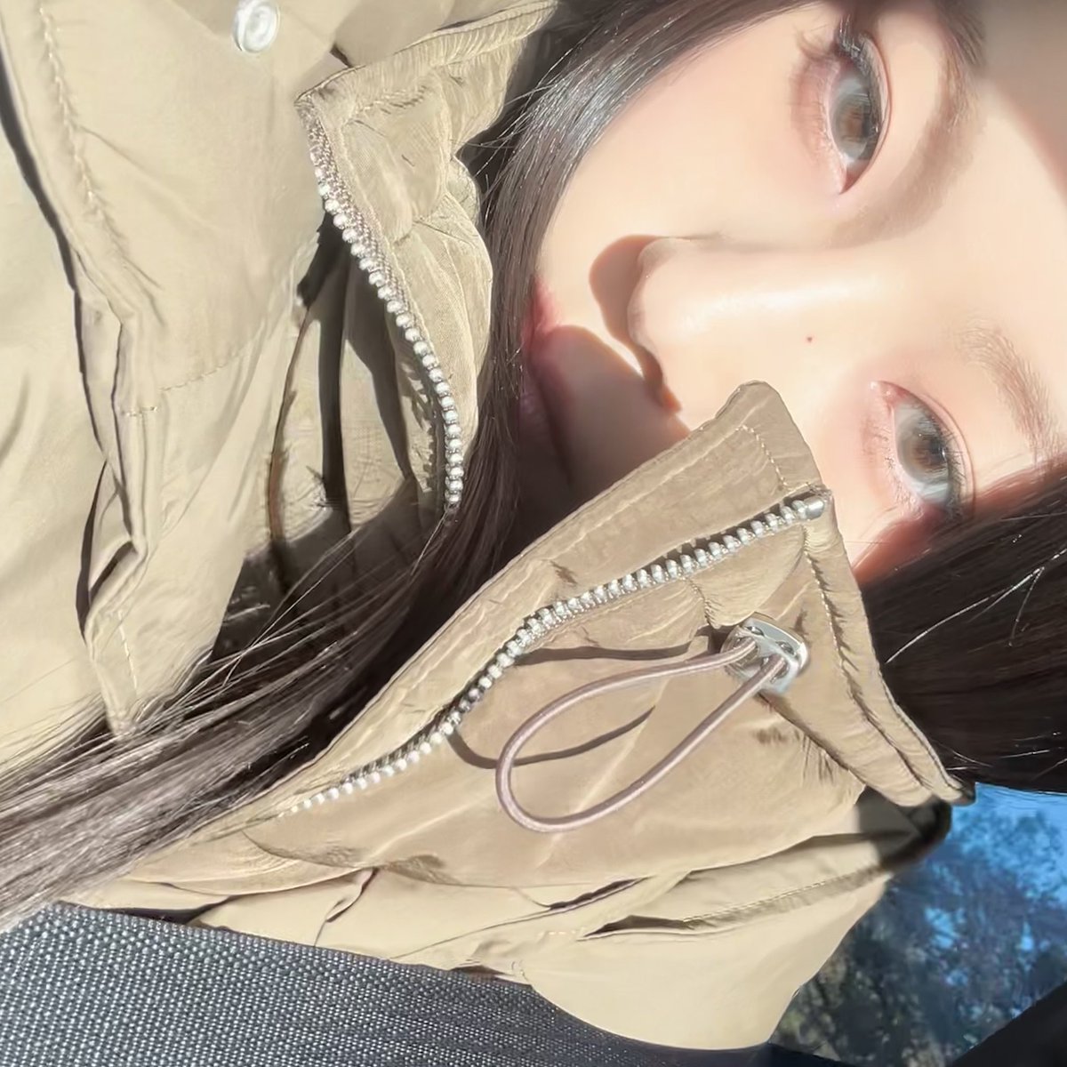 따끈고양이 오늘도 힘내길,,