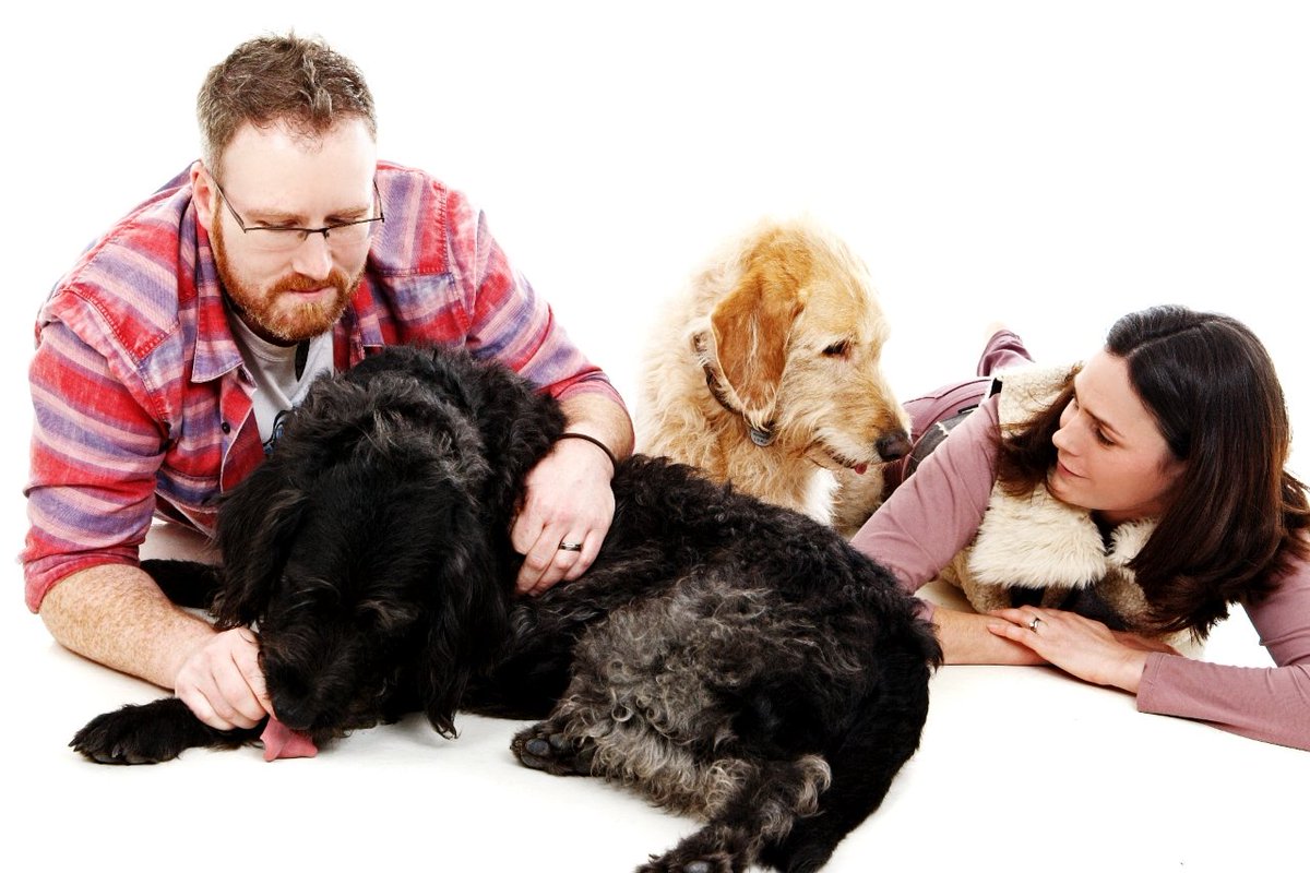 Ciaran Marron tweet media