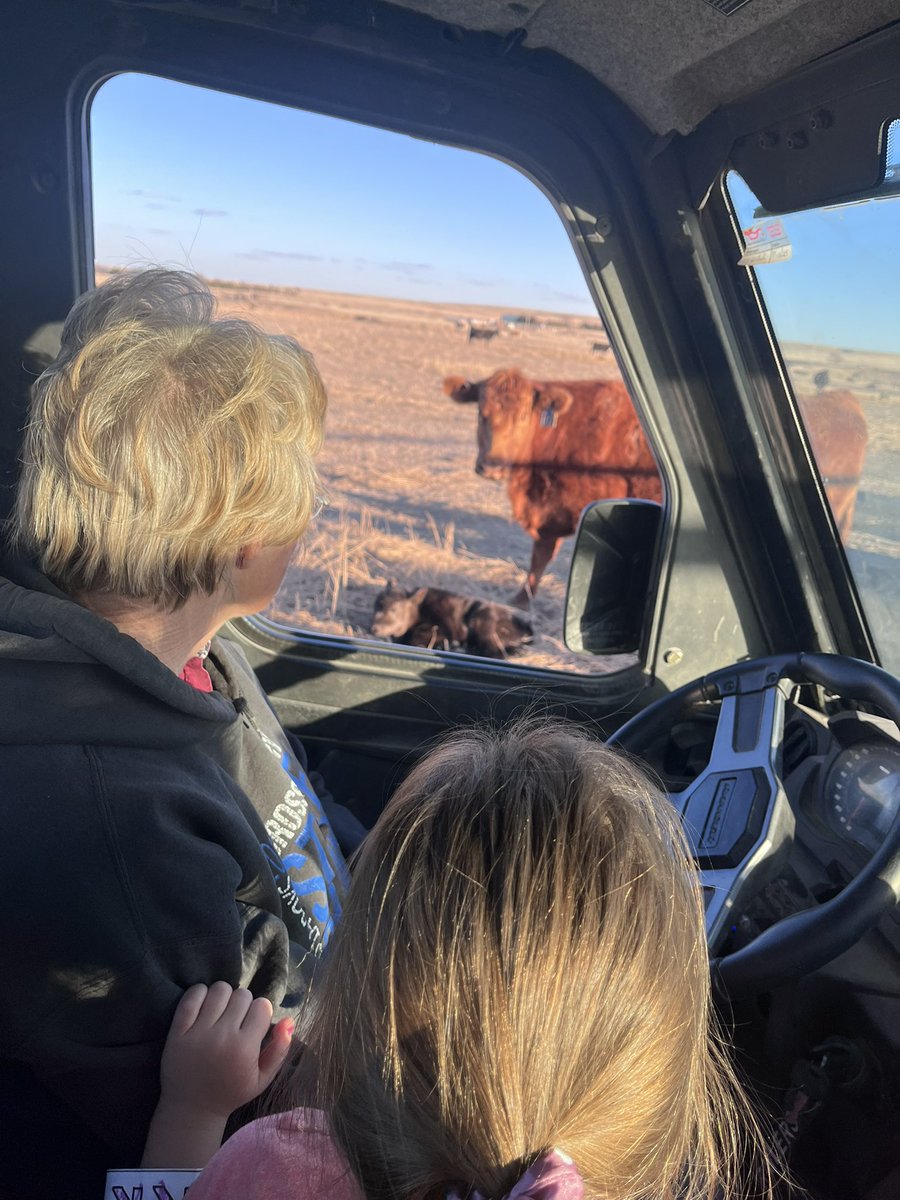 Grace Reinecker tweet media