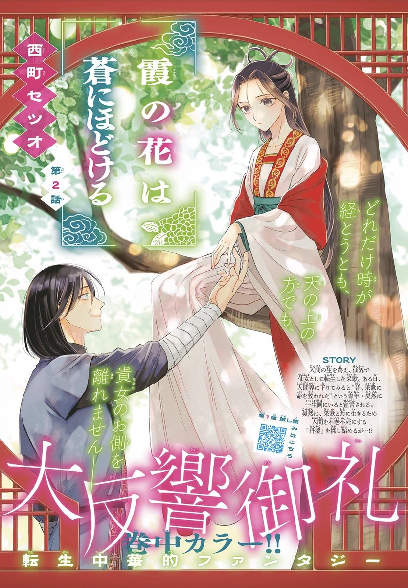 セツオ/西町セツオ tweet media