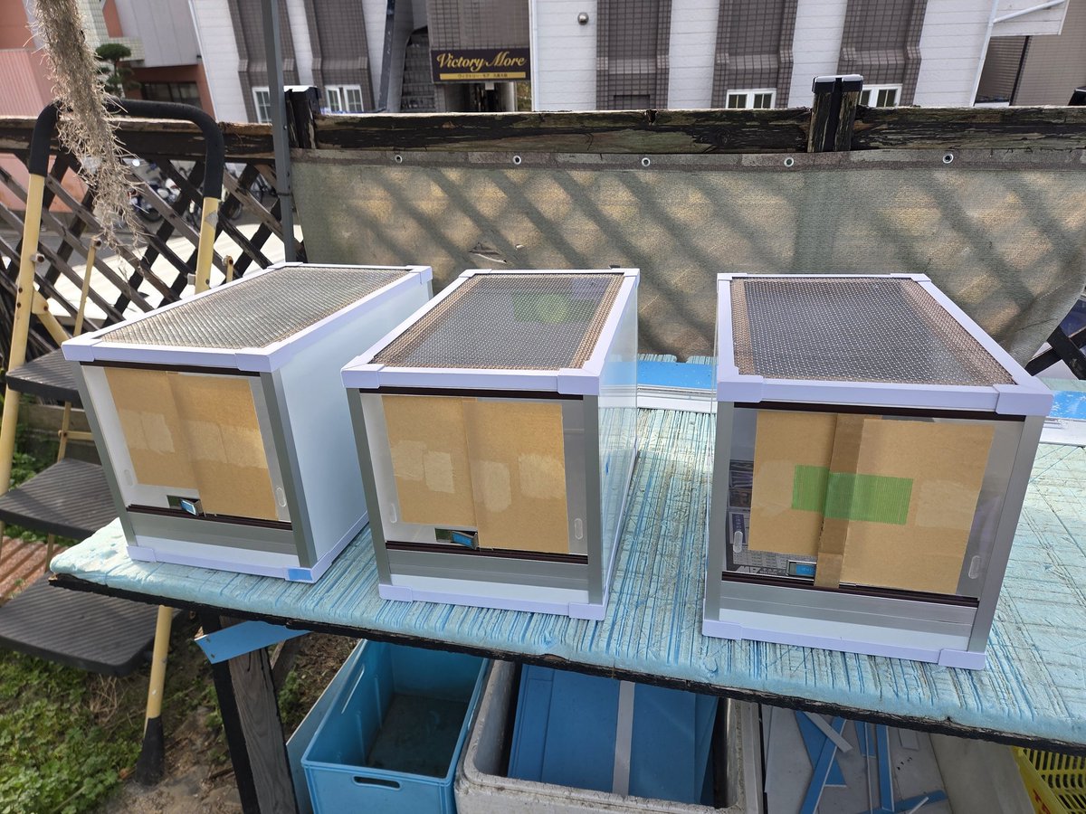 MOLTING BASE tweet media