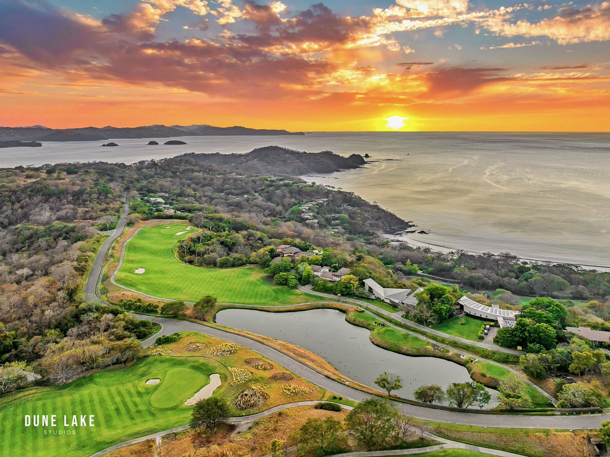 David Warren tweet media