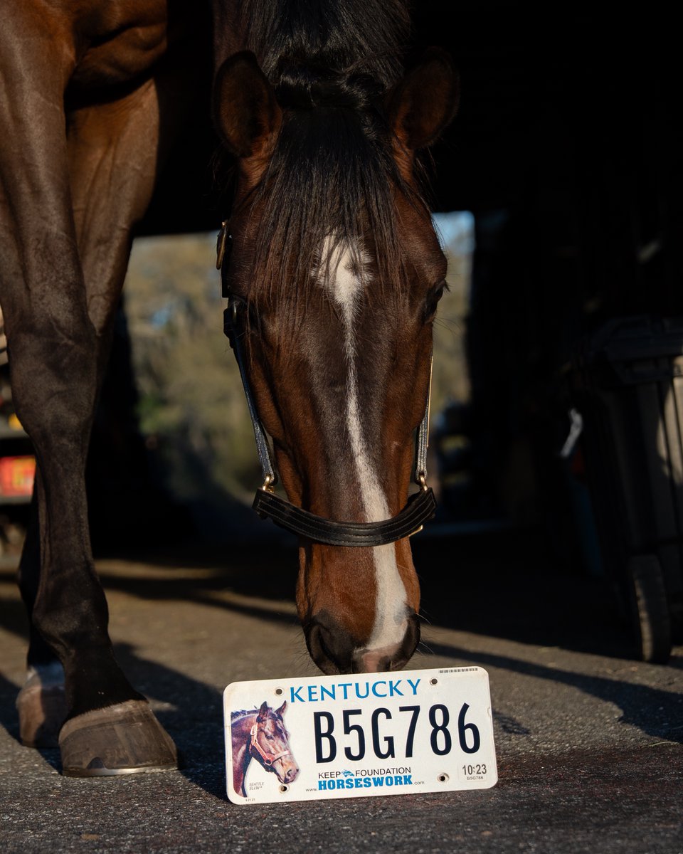 Ky Equine Ed Project tweet media