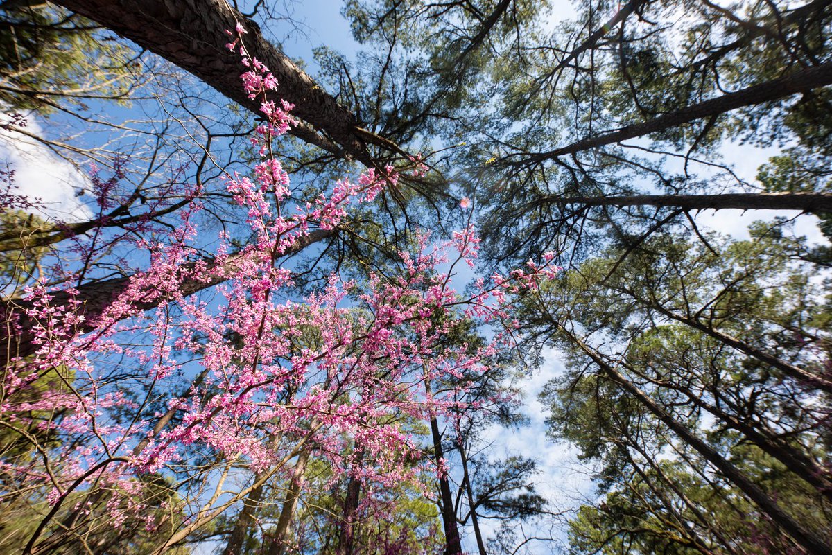 Oklahoma State Parks ⛺️ tweet media