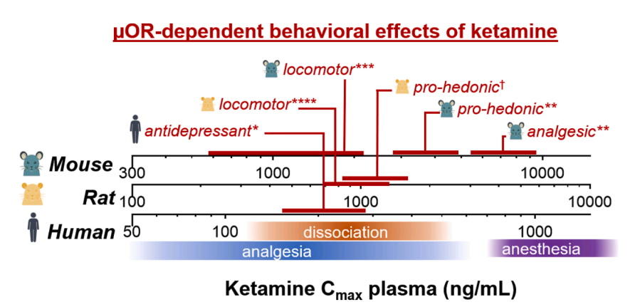 Stanford Anesthesiology tweet media