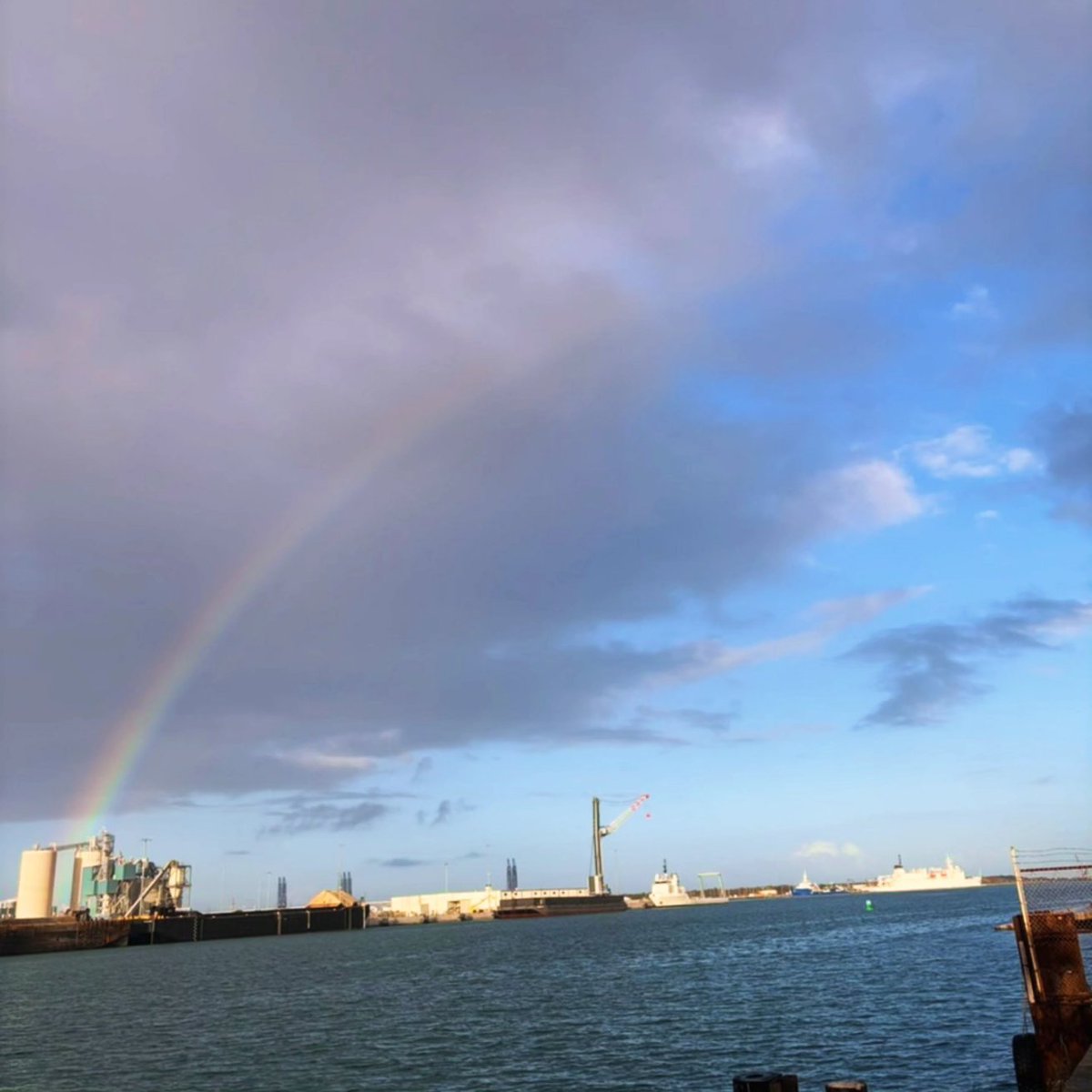 Rusty's Seafood & Oyster Bar tweet media