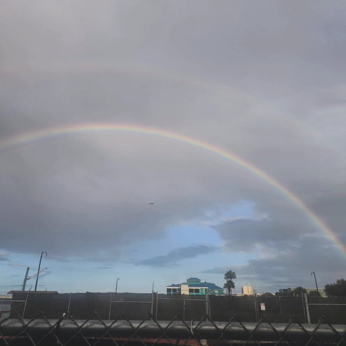 Rusty's Seafood & Oyster Bar tweet media