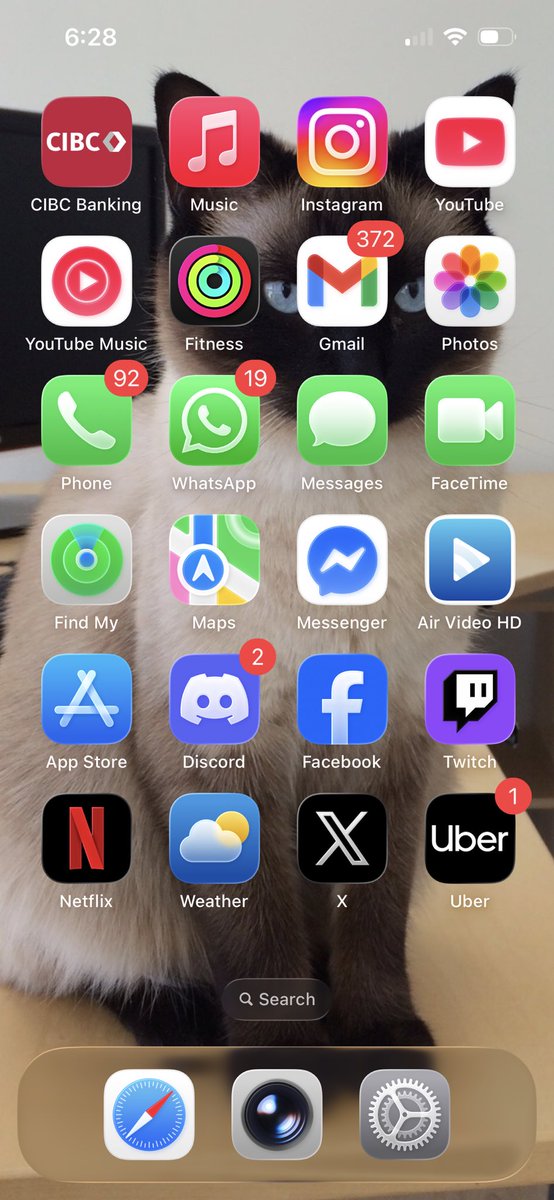 Evelyn Ng tweet media