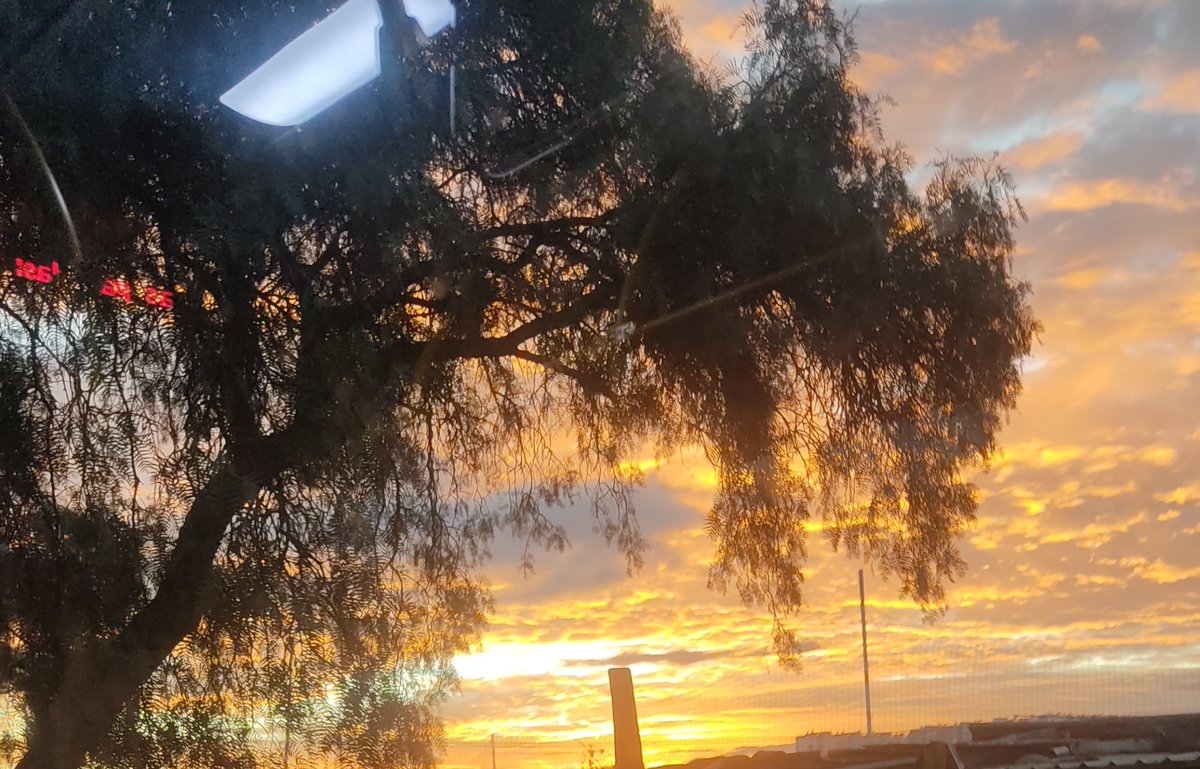 @Jemaco40 tweet media