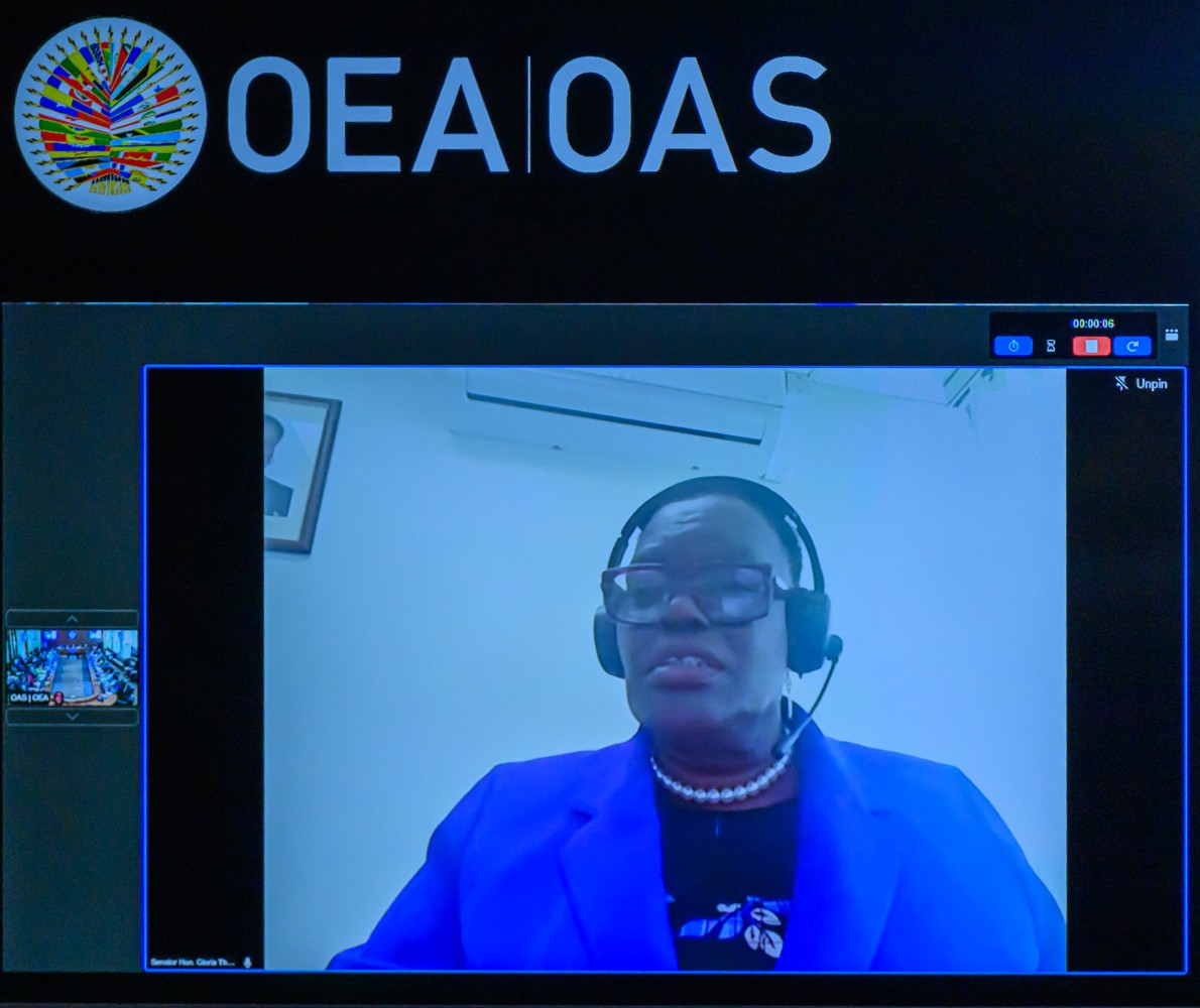 Inter-American Commission of Women (CIM) tweet media