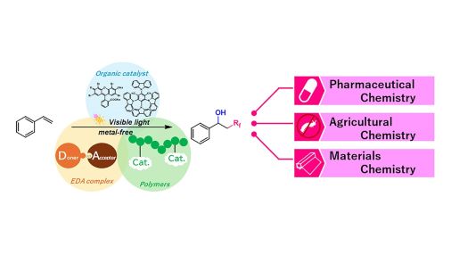 CSJjournals_jp's tweet image. [Highlight Review]
Prof. Tomoko Yajima, Ms. Airi Yamaguchi (D2) at Ochanomizu Univ. @yajimalab_F explores recent advances in metal-free photoinduced hydroxyperfluoroalkylation of styrenes. Covers sustainable, LED-light-driven methods.
#FreeAccess

academic.oup.com/chemlett/artic…