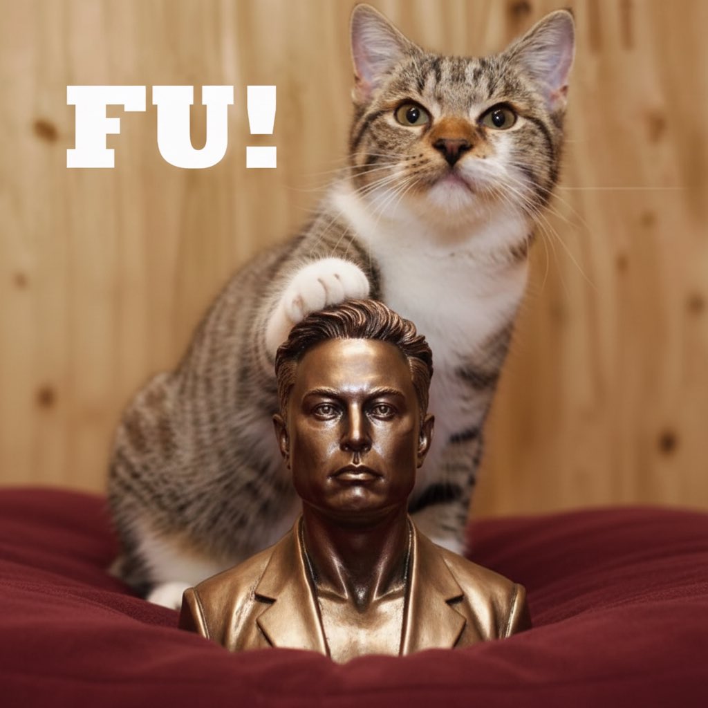 Middlefingeredcat tweet media