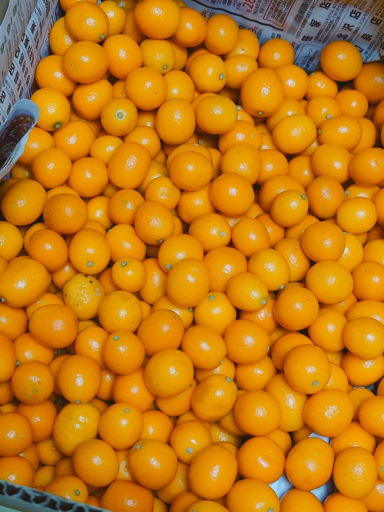 芳乃 麻友 @まゆし tweet media