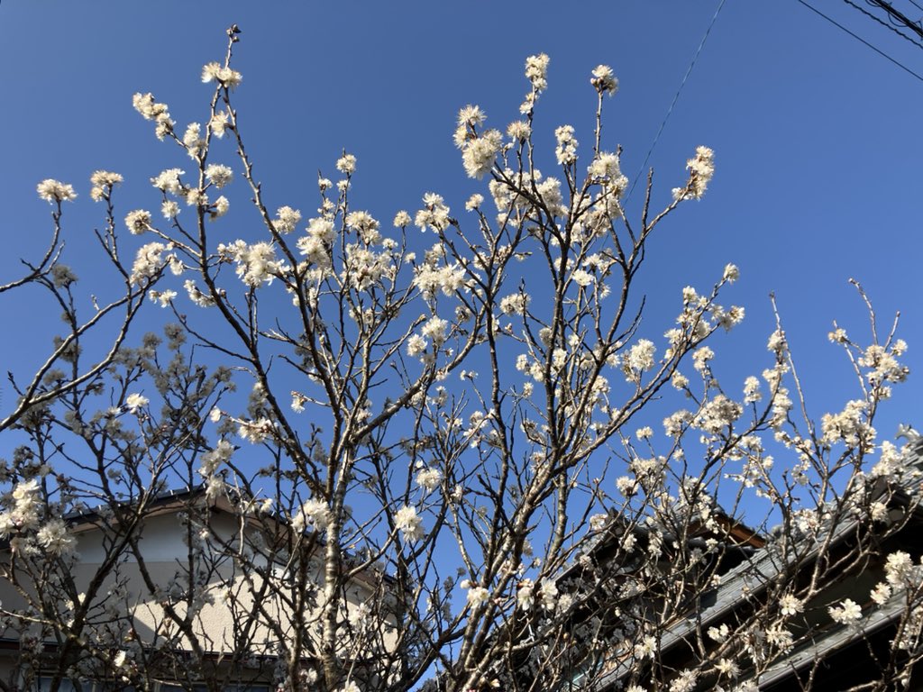 tatsuyactive's tweet photo. #FMはたらんど　
#ひるおととーく
ご聴取ありがとうございました。
今月は卒業をテーマに お届けしました。

来月は4月6日(月)13時から、“サクラ”をテーマにお届けします。本田雅人さんコーナー、シンセ曲コーナーもお楽しみに♬

番組へのメッセージ、お待ちしてます。

#FMプラプラ
#四万十市 https://t.co/BoPHqV8qS6