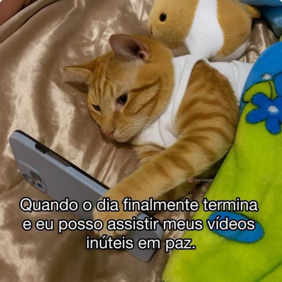 Pagina lixo (@paginalixo1) on Twitter photo 