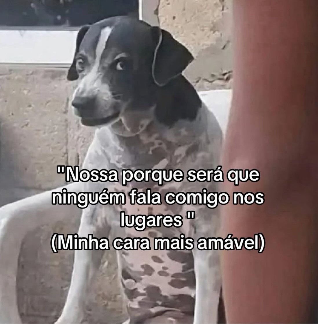 paginalixo1's tweet photo. https://t.co/6iwjKnVKNc