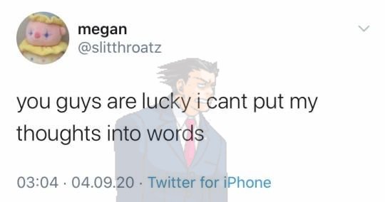 phoenixwrong tweet media