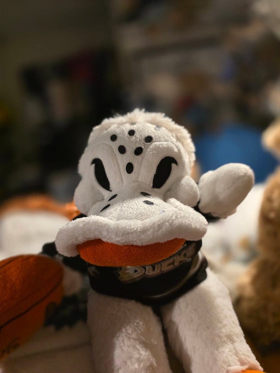 My plush WIld wing would make a better coach than Craig  #LeafsForever