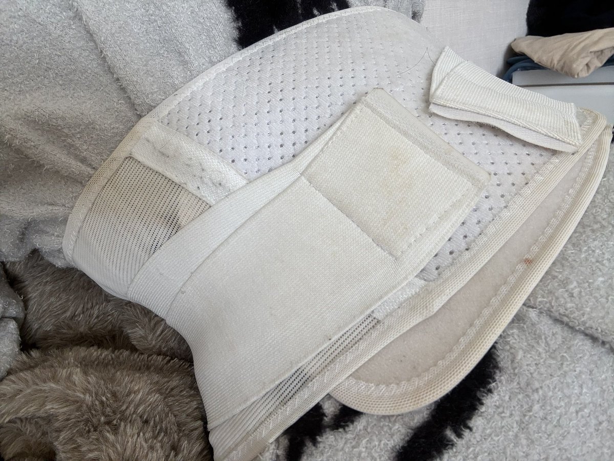 モモ ヴィオレッタ🍑2.5次元Vtuber tweet media