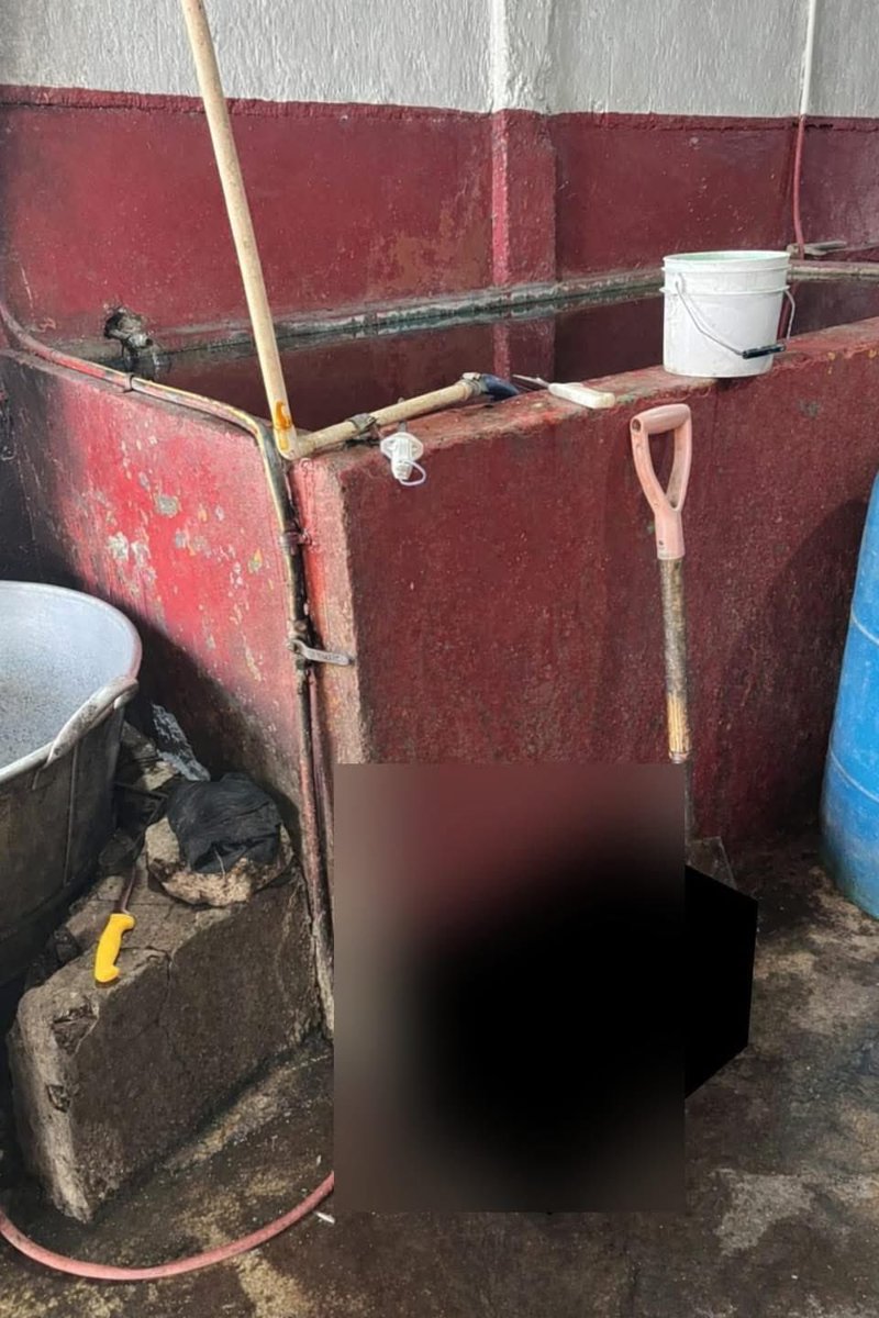 ¡Cumplimos ahijadxs! 💪🏻
No solo enchulamos Las Pilitas, también atendimos las denuncias de vecinas y vecinos y clausuramos un rastro clandestino que operaba en condiciones insalubres, poniendo en riesgo la salud de las familias de la zona.

En este gobierno sí escuchamos a la