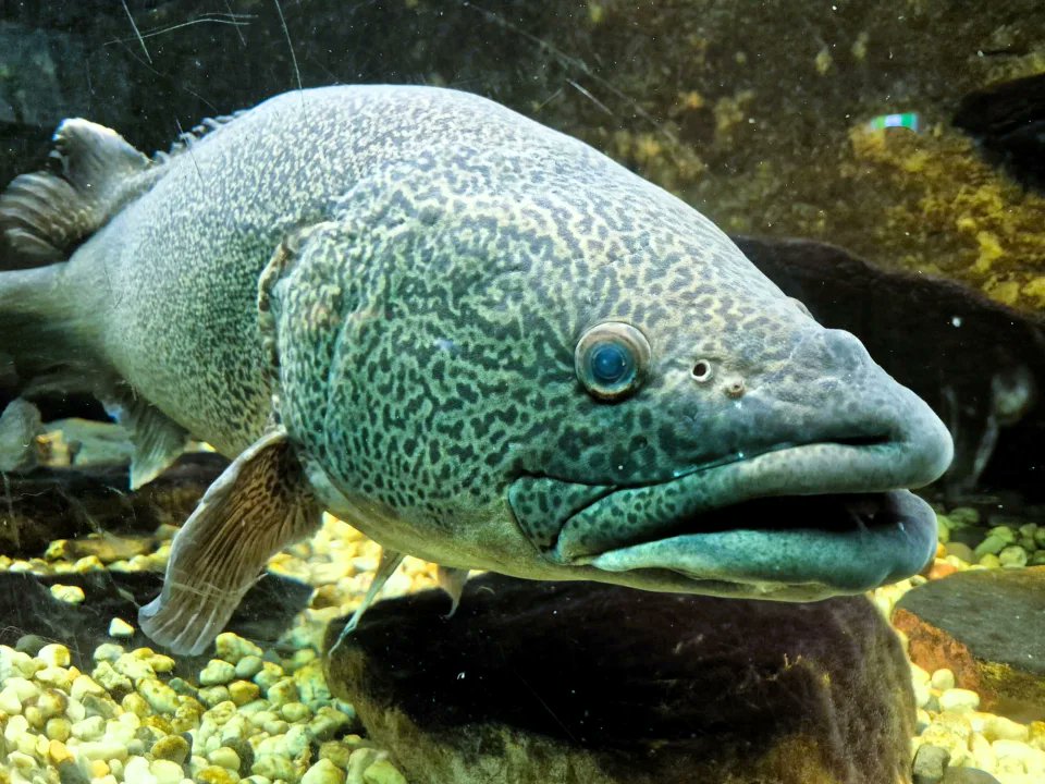 Environmental Water tweet media