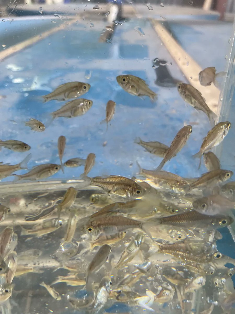 Environmental Water tweet media